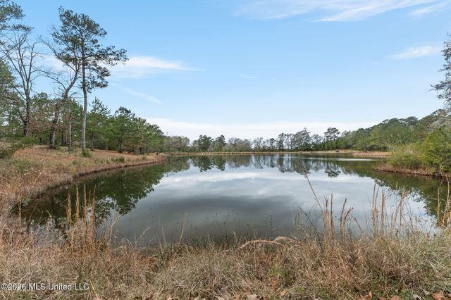 13 Albert Odom Drive, Poplarville, MS 39470