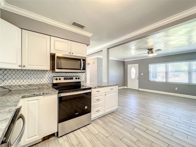 1006 E 11TH AVENUE, Mount Dora, FL 32757
