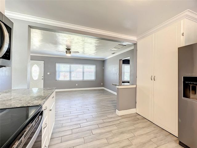 1006 E 11TH AVENUE, Mount Dora, FL 32757