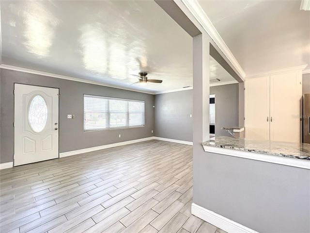 1006 E 11TH AVENUE, Mount Dora, FL 32757