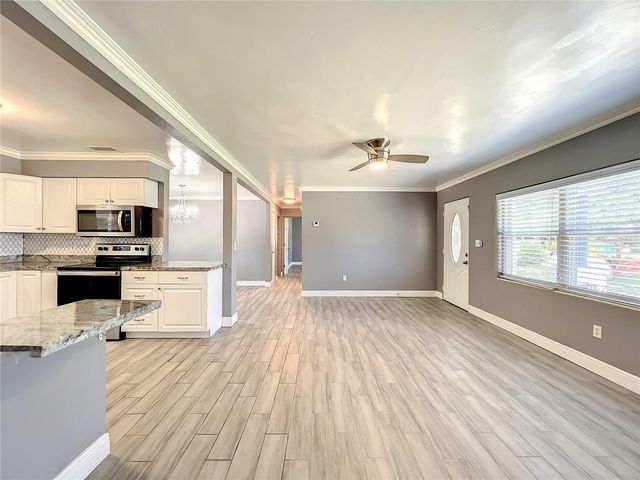 1006 E 11TH AVENUE, Mount Dora, FL 32757
