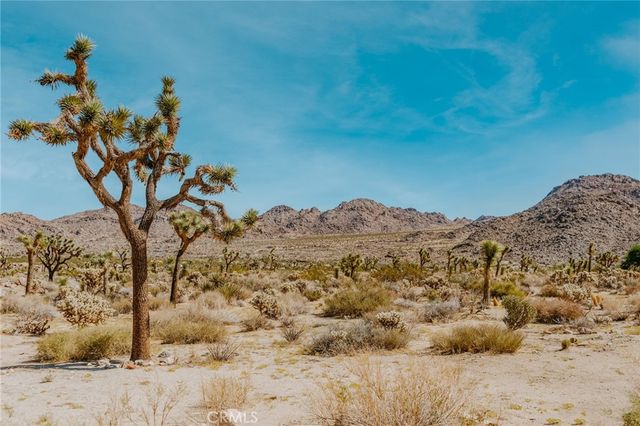 8333 Star Lane, Joshua Tree, CA 92252