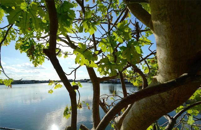 6380 W 24th Ct, Hialeah, FL 33016