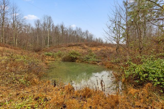 1363 Bass Layne Road, Gruetli Laager, TN 37339