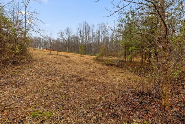 1363 Bass Layne Road, Gruetli Laager, TN 37339