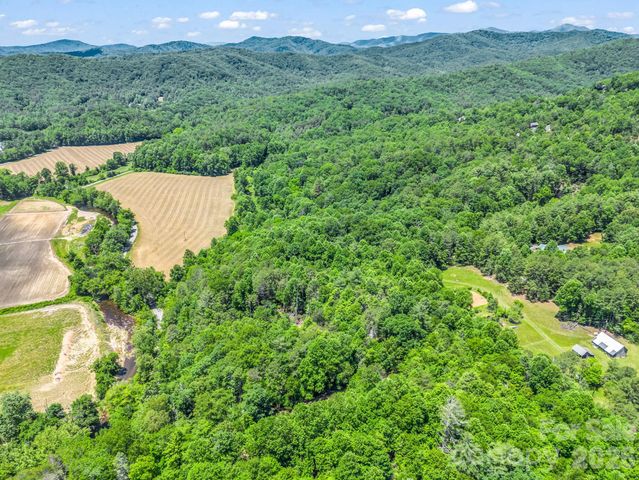 144 Old Homeplace Lane, Mills River, NC 28759