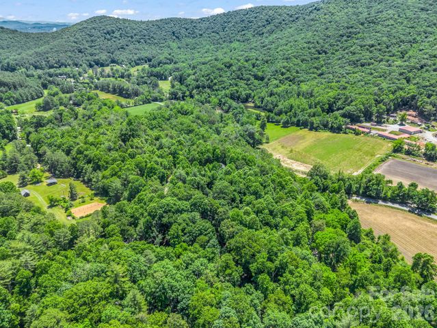 144 Old Homeplace Lane, Mills River, NC 28759