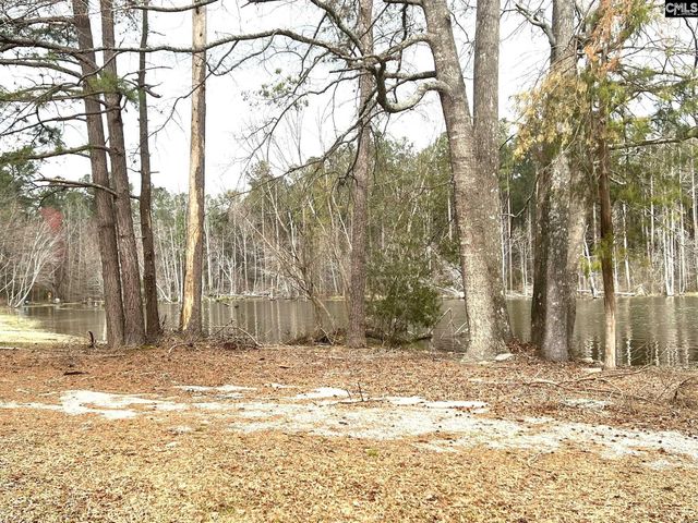 202 Duckbill Road, Prosperity, SC 29127