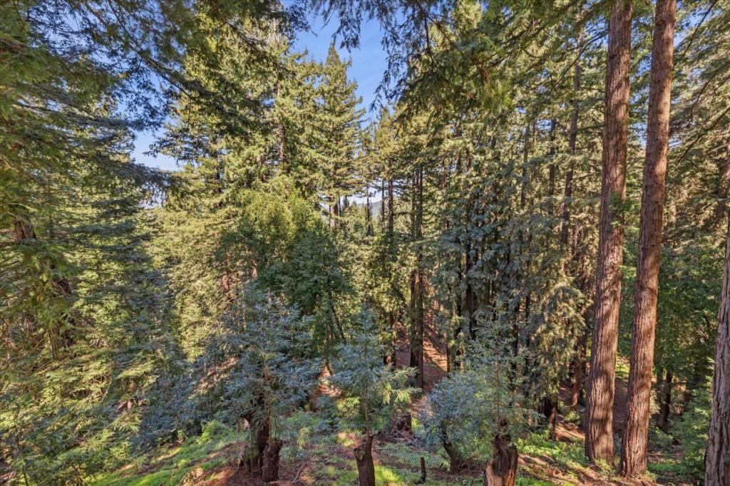 Image 47 of property listing at 18081 Redwood Drive, Los Gatos, CA 95033