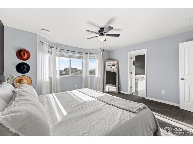 553 Hillspire Dr, Windsor, CO 80550