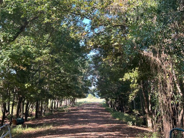 Lot 61 Minnie West Drive, Hull, TX 77564
