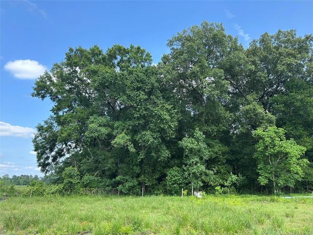 Lot 61 Minnie West Drive, Hull, TX 77564