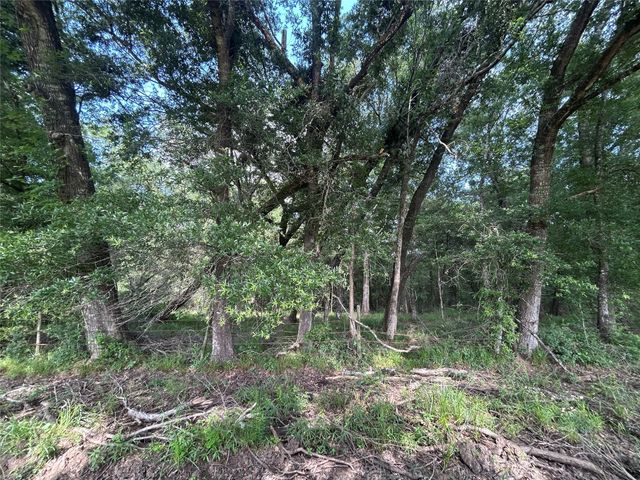 Lot 61 Minnie West Drive, Hull, TX 77564