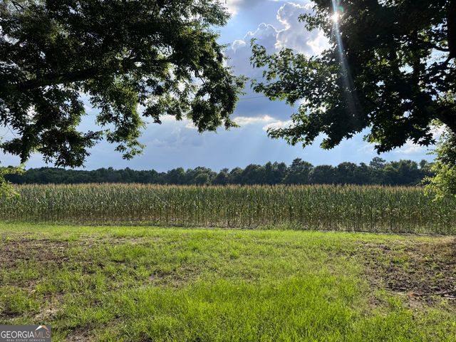 1665 Walke Dairy Road, Dublin, GA 31021