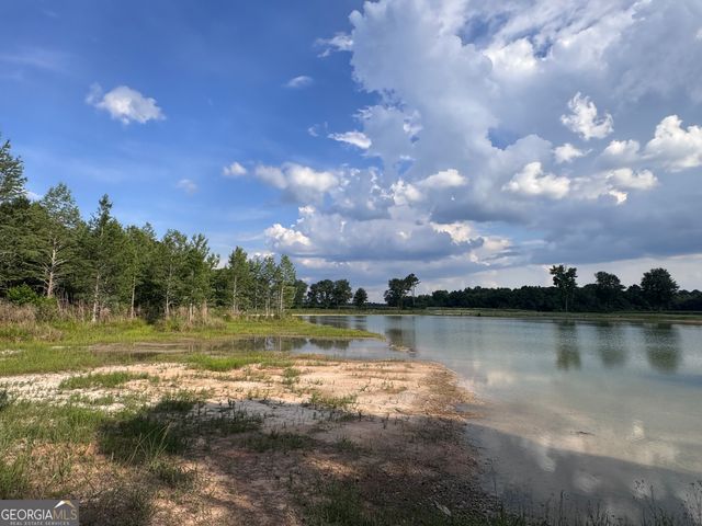 1665 Walke Dairy Road, Dublin, GA 31021