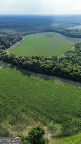 1665 Walke Dairy Road, Dublin, GA 31021