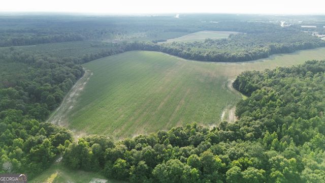 1665 Walke Dairy Road, Dublin, GA 31021
