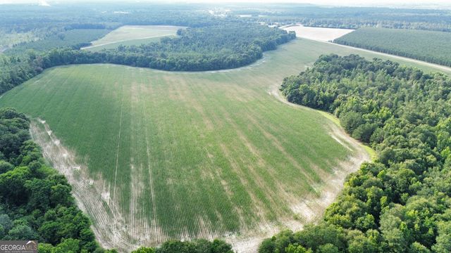 1665 Walke Dairy Road, Dublin, GA 31021