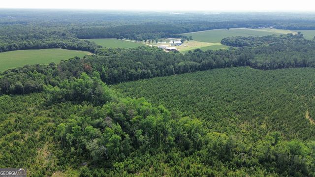 1665 Walke Dairy Road, Dublin, GA 31021