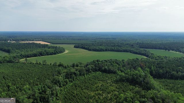 1665 Walke Dairy Road, Dublin, GA 31021