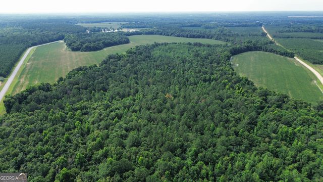 1665 Walke Dairy Road, Dublin, GA 31021