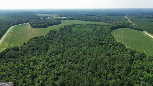 1665 Walke Dairy Road, Dublin, GA 31021