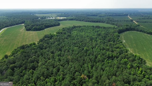 1665 Walke Dairy Road, Dublin, GA 31021