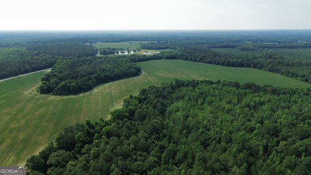 1665 Walke Dairy Road, Dublin, GA 31021
