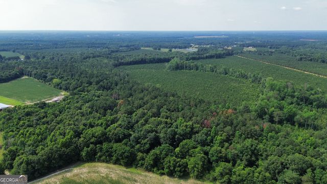 1665 Walke Dairy Road, Dublin, GA 31021