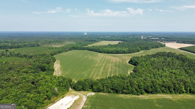 1665 Walke Dairy Road, Dublin, GA 31021