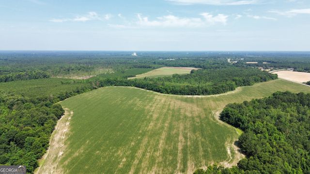 1665 Walke Dairy Road, Dublin, GA 31021