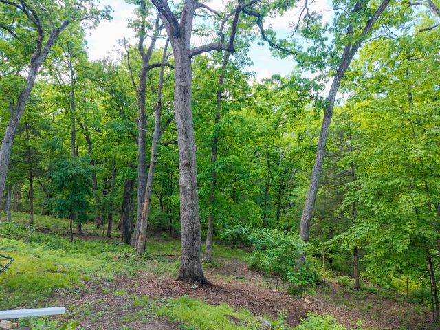 1403 RIDGEMONT CT, Columbia, MO 65203