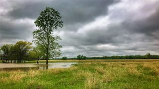 TBD County Road 26701, Petty, TX 75470
