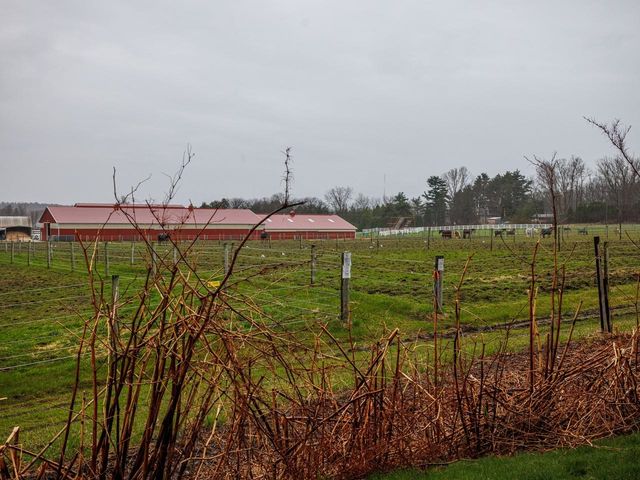 92 Quarry Hill Rd Apt 11, South Burlington, VT 05403