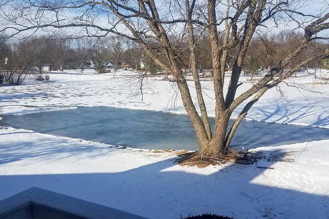 1620 Pheasant Trail, Inverness, IL 60067