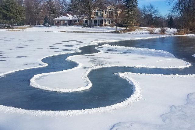 1620 Pheasant Trail, Inverness, IL 60067