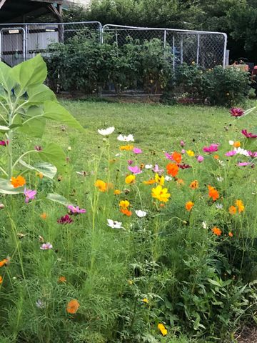 240 Sardis Church Road, Whitwell, TN 37397