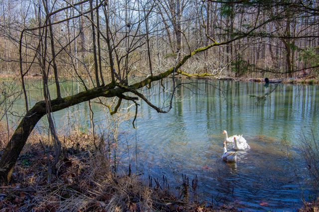 240 Sardis Church Road, Whitwell, TN 37397