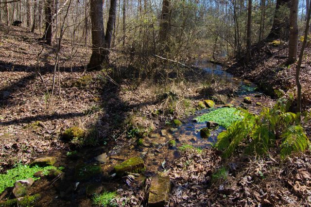 240 Sardis Church Road, Whitwell, TN 37397