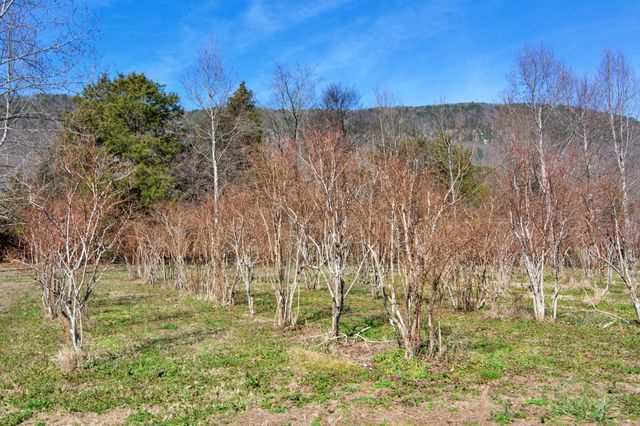 240 Sardis Church Road, Whitwell, TN 37397