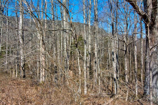 240 Sardis Church Road, Whitwell, TN 37397