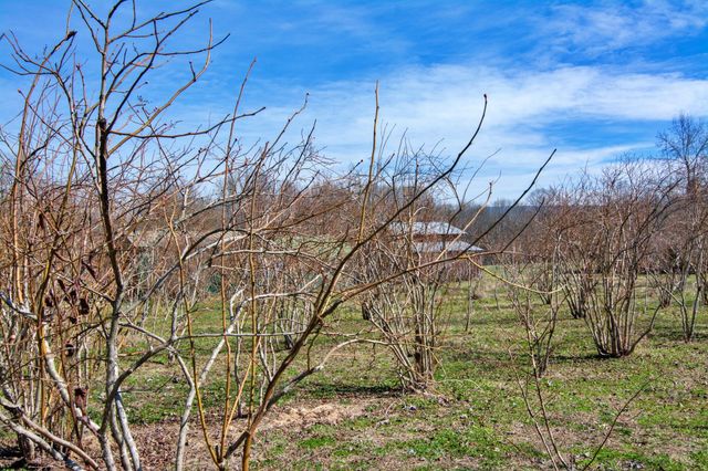 240 Sardis Church Road, Whitwell, TN 37397