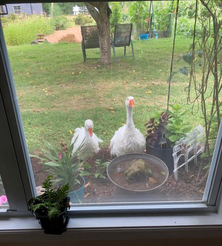 240 Sardis Church Road, Whitwell, TN 37397