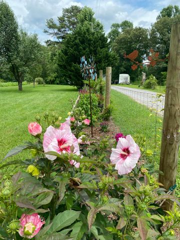 240 Sardis Church Road, Whitwell, TN 37397