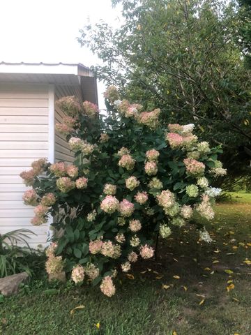 240 Sardis Church Road, Whitwell, TN 37397