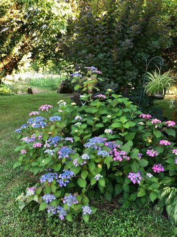 240 Sardis Church Road, Whitwell, TN 37397