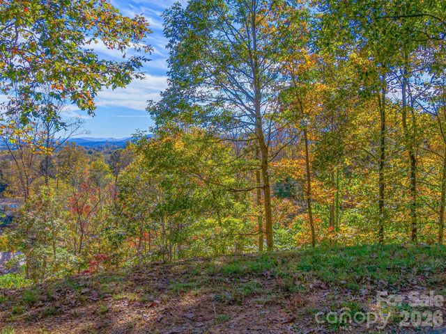 17 Denali Drive V-108, Asheville, NC 28806