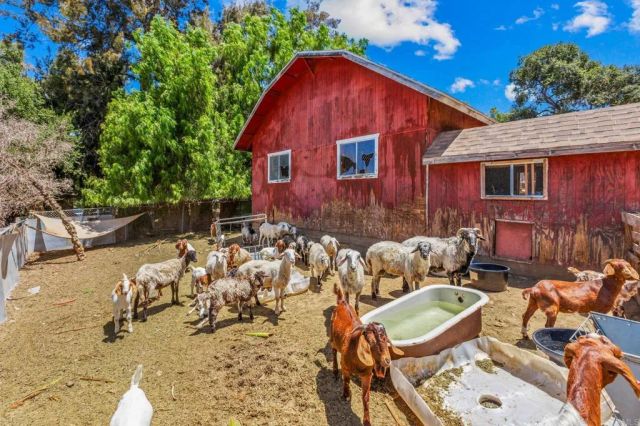 3120 Florence, Spring Valley, CA 91978