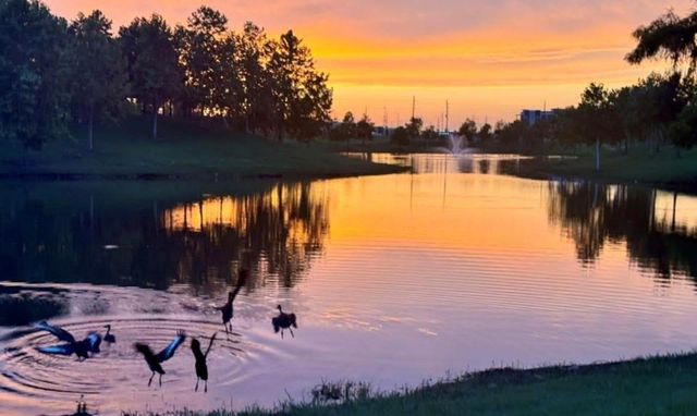 17207 Kilmahew Place, Richmond, TX 77407