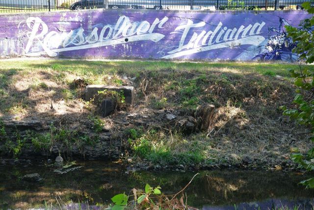 513 N College Avenue, Rensselaer, IN 47978